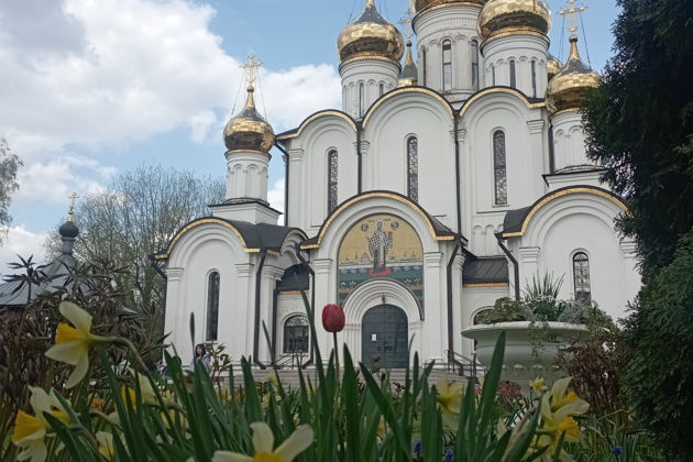 Фото экскурсии - Один день в Переславле-Залесском - 6