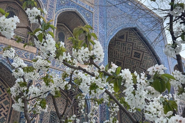 Самарканд, Хива и Бухара за 3 дня — экспресс-тур на скоростных поездах