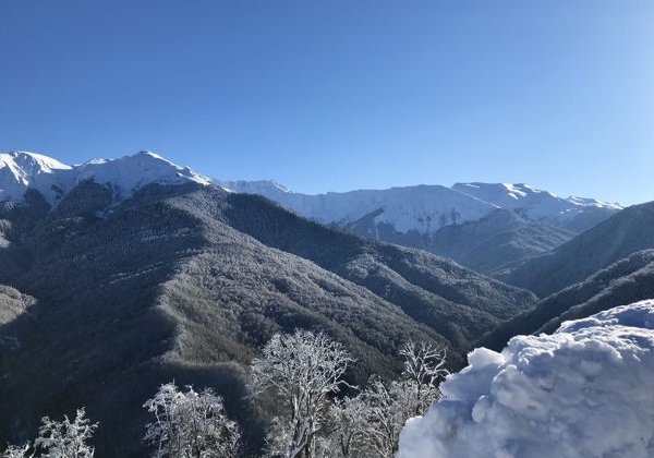 Красная поляна, Олимпийский Сочи и Скайпарк - фото 4