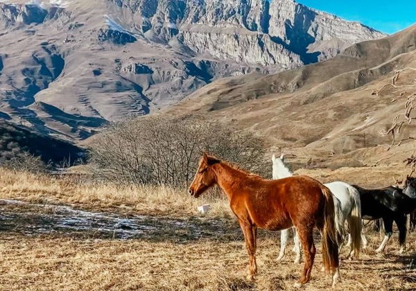 Индивидуальная экскурсия в Северную Осетию из Нальчика - фото 1