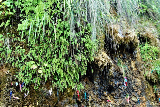 Фото экскурсии - Абхазия в миниатюре: Гагра, Рица и Новый Афон на одном маршруте - 10