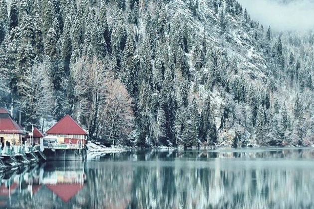 Фото экскурсии - Абхазия в миниатюре: Гагра, Рица и Новый Афон на одном маршруте - 11