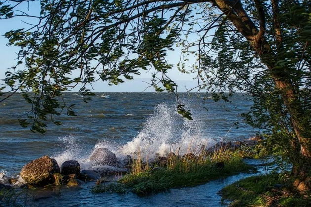 Фото экскурсии - Прогулка по Балтийскому побережью: Куршская коса, Зеленоградск и Светлогорск - 9