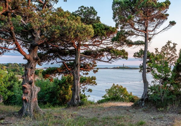 Экскурсия с купанием в озере - фото 3