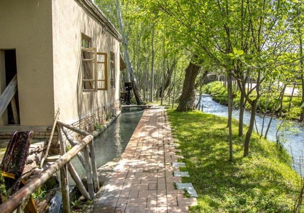 Прекрасный и исторический Самарканд - фото 4