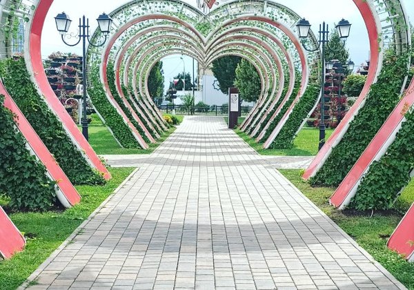 Феникс Грозный: день и ночь