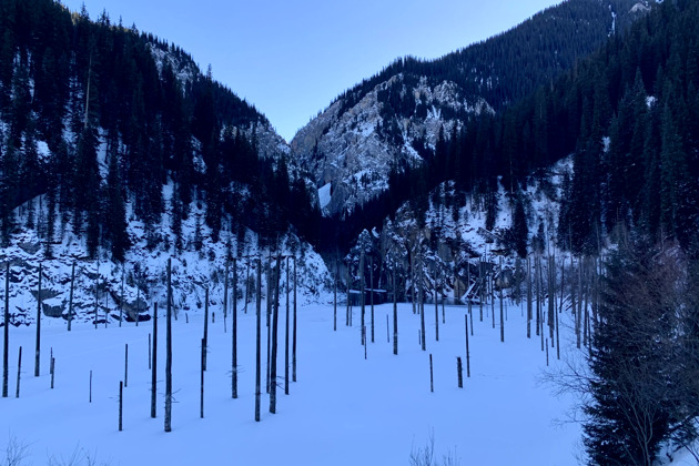 Фото - экскурсия: Волшебная поездка к озерам Кольсай и Каинды с посещением Черного каньона