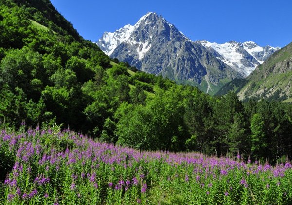 Все самое лучшее: Верхняя Балкария, Язык тролля и Голубые озёра