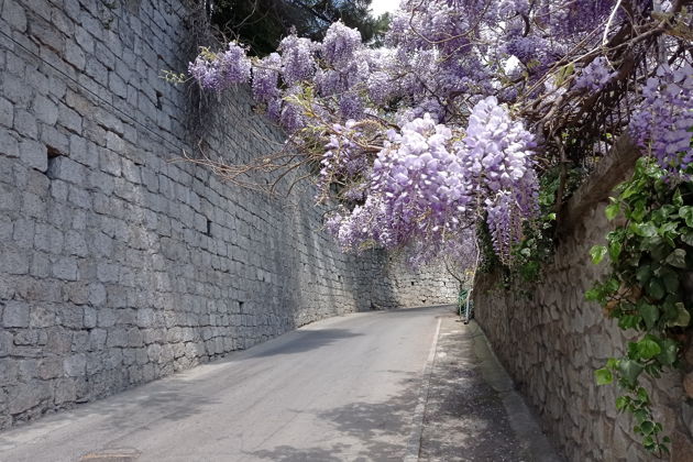 Фото экскурсии - Прогулка по Ялте эпохи Серебряного века - 8
