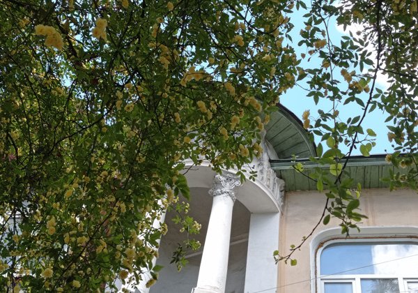 Ялта в сиянии Серебряного века