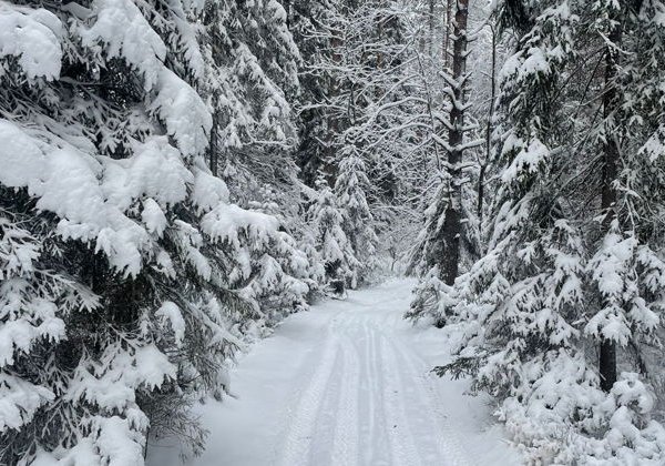 На снегоходах по заснеженной Карелии  - фото 1