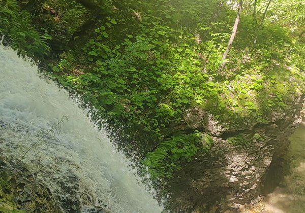 Аргунское ущелье и город мертвых Цой-Педе - фото 4