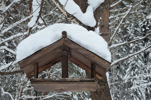 Фото - экскурсия: Белокуриха - всероссийский курорт для оздоровления