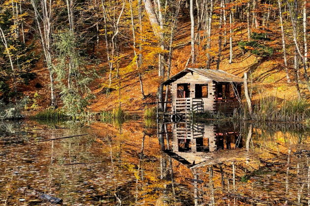 Фото экскурсии - За горами и лесами: Ай-Петри и Большой каньон - 10