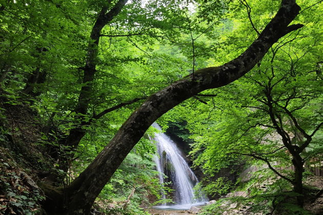 Фото экскурсии - Прогулка по побережью к Новому Свету: разнообразный Крым - 13