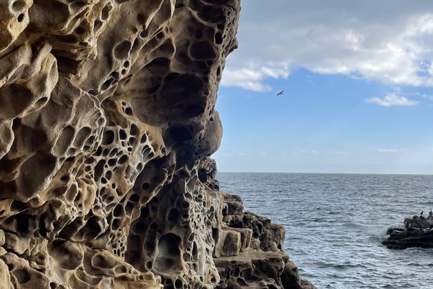 Фото экскурсии - Прогулка по побережью к Новому Свету: разнообразный Крым - 14