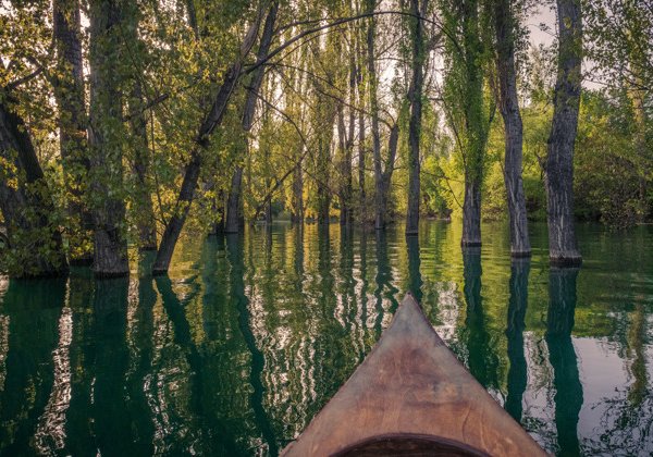 На индейском каноэ по затонувшему лесу