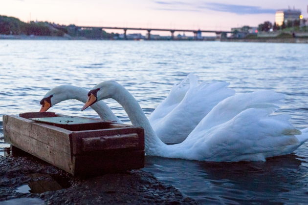 Фото экскурсии - Чебоксары - главный город Чувашии - 7