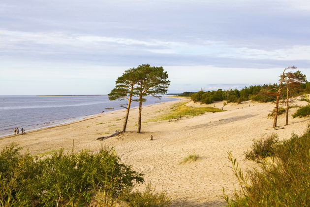 Северодвинск, Белое море и остров Ягры. Групповая экскурсия-6