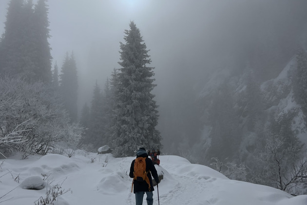Фото - экскурсия: Однодневная экскурсия по горным вершинам Алматы