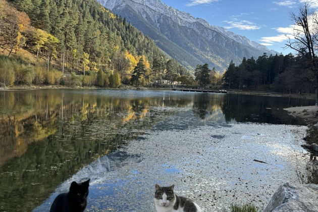 Фото экскурсии - Домбай - райский уголок в малой группе: Гумбаши, Сырные пещеры и Шоанинский храм - 7