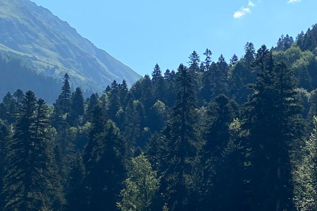 Фото экскурсии - Домбай - райский уголок в малой группе: Гумбаши, Сырные пещеры и Шоанинский храм - 10
