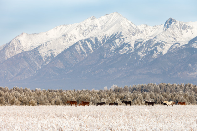 Фото - экскурсия: Осенняя Бурятия. Аршан. К подножию восточных Саян.
