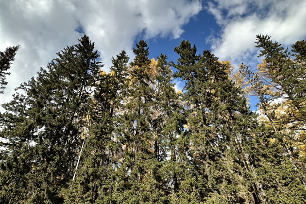 Фото экскурсии - Осенняя Бурятия. Аршан. К подножию восточных Саян. - 14