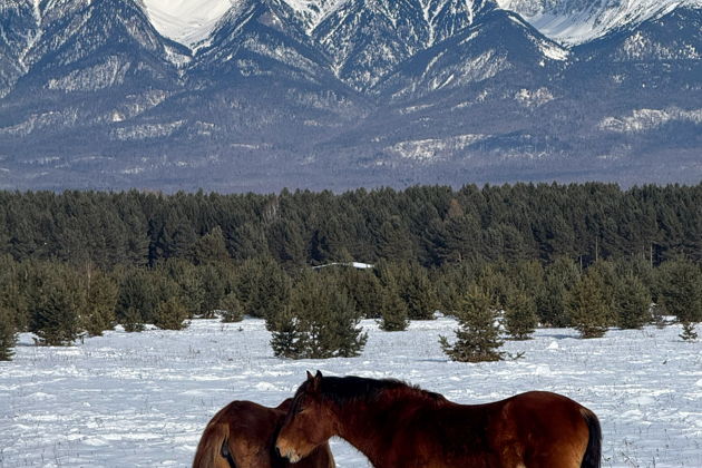 Фото экскурсии - Осенняя Бурятия. Аршан. К подножию восточных Саян. - 15