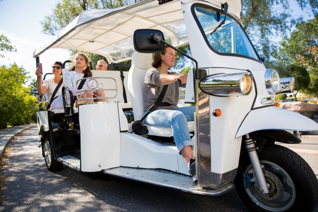 Индивидуальные туры по Риму E-Tuk-6