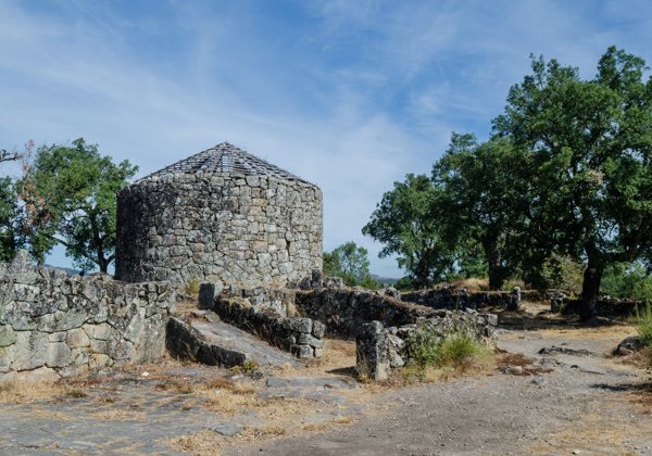 Antiquity Trip «‎Колесо истории»