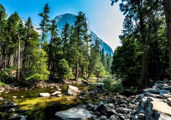 Must visit: национальные парки Йосемити и Секвойя - фото 1