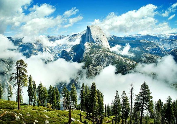 Must visit: национальные парки Йосемити и Секвойя - фото 3