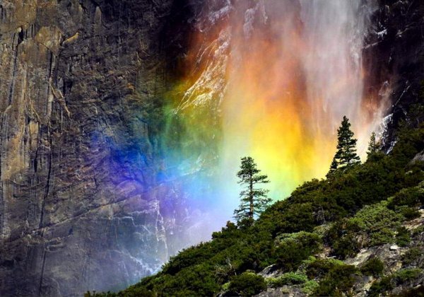 Must visit: национальные парки Йосемити и Секвойя
