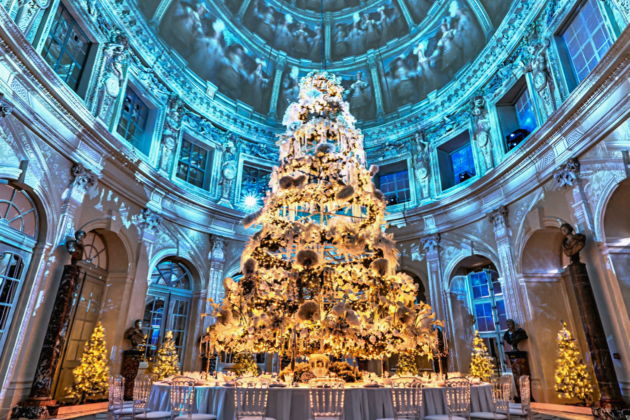 Фото экскурсии - Новогодние мероприятия в замке Во-ле-Виконт - 8