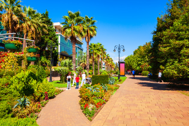 Фото - экскурсия: Огни большого Сочи: обзорная экскурсия по городу