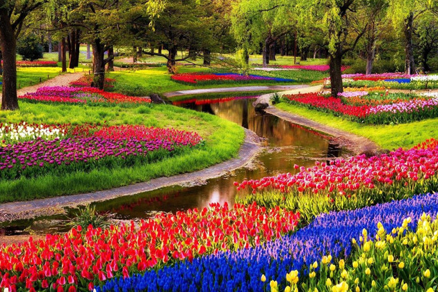 Фото - экскурсия: Тюльпановый парадиз Кёкенхофа в мини-группе (19 марта-10 мая)