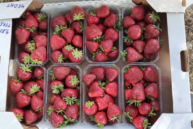 Фото экскурсии - «Восточная сказка»: экскурсия в Бахчисарай - 8