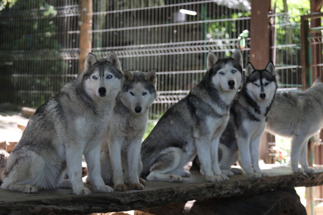 Фото экскурсии - Обзорные виды горы Ахун с возможностью выбора пути - 6