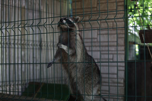 Фото экскурсии - Обзорные виды горы Ахун с возможностью выбора пути - 14