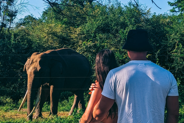 Фото - экскурсия: Отправляйтесь на джип-сафари в Яла или Удавалаве - выбирайте парк по душе