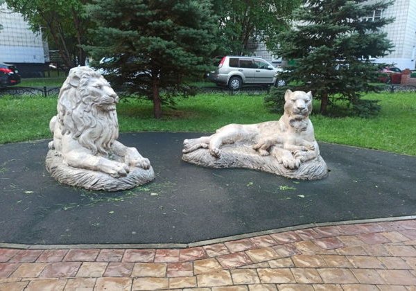 Сборная экскурсия Академгородок и ГЭС в Новосибирске - фото 4