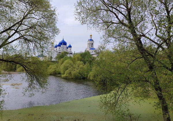 Путешествие в Боголюбово:  Андрей Боголюбский и храм Покрова на Нерли. - фото 2