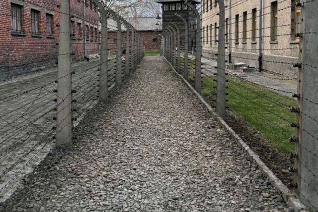 Фото экскурсии - Экскурсия из Кракова в Освенцим, концлагерь Аушвиц-Биркенау и Раковицкое кладбище - 6