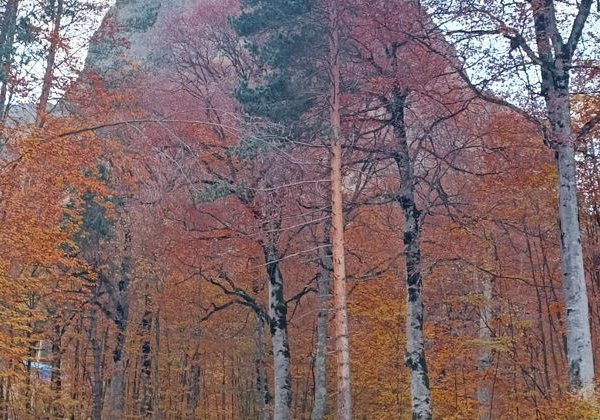 Три неповторимых ущелья Осетии за один день (Алагир, Цей, Мамисон) - фото 4