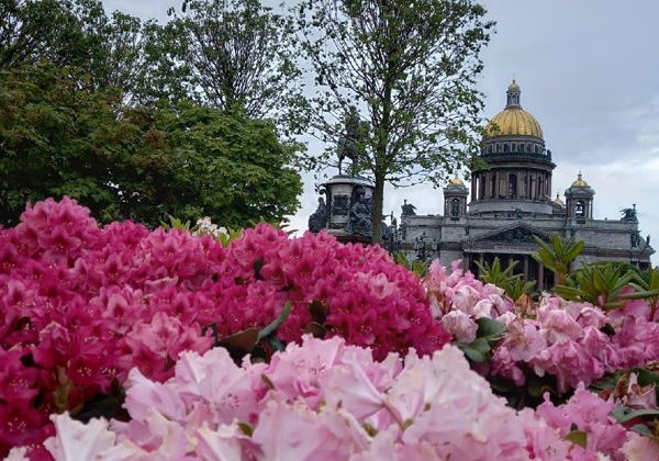 Петербург в одном взгляде: увидеть Петербург и посетить Эрмитаж - фото 1
