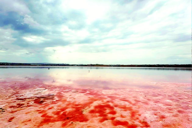 Фото экскурсии - В МАРС через РОЗОВОЕ озеро с чаепитие на скале БЕШБАРМАГ + дегустация ИКРЫ! - 15