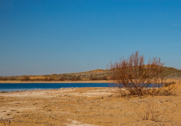 Поездка в пустыню Кызыл Кум и соленое озеро Айдаркуль