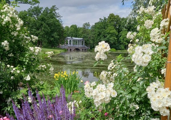 Из Петербурга — в Царское Село: Дворец, Парк и Лицей