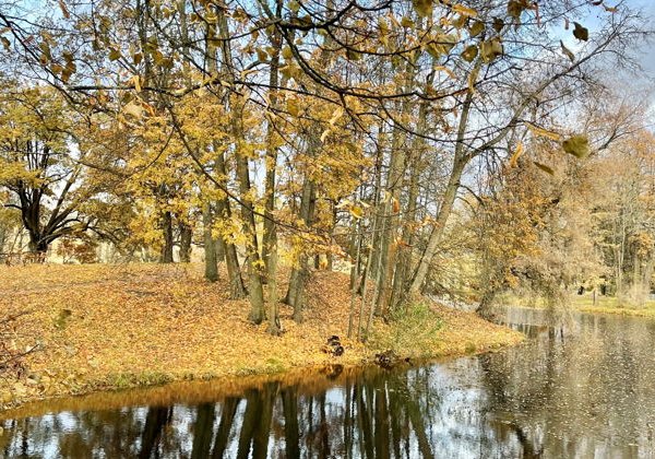 Царское Село: Вдохновение и История - фото 3